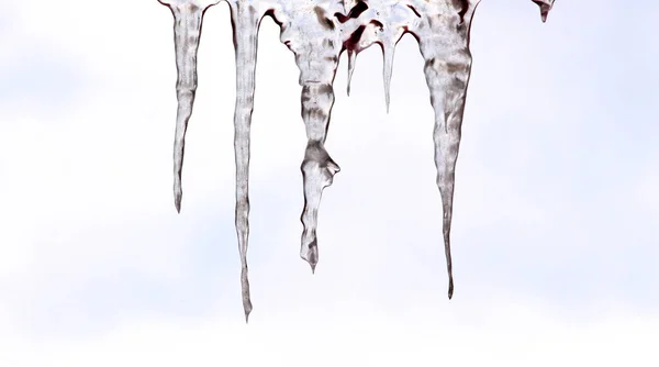 Mooie glanzende transparante icicles hang — Stockfoto