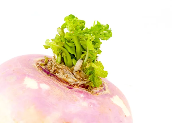 ピンクの大根の根菜 — ストック写真
