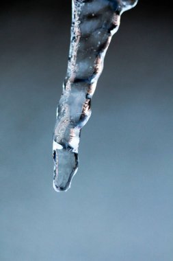 parlak açık buz saçağı sıkı tutun, makro çekim