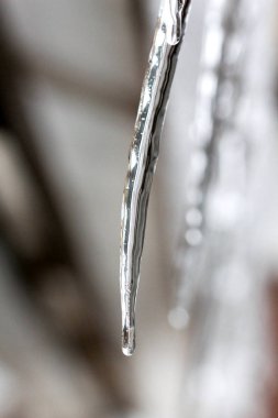   çatıdan asılı buz sarkıtları .