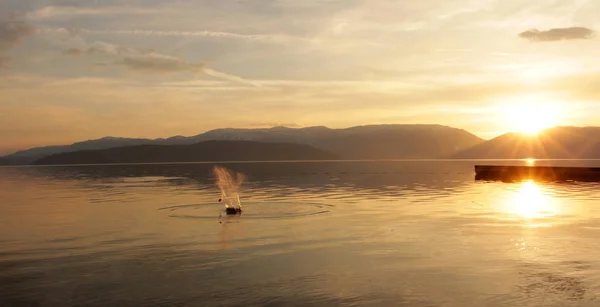 Magnífico paisaje de puesta de sol sobre el lago Prespa en macedonia — Foto de Stock