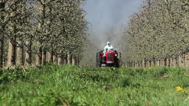 Farmář postřik jabloní na jaře — Stock video