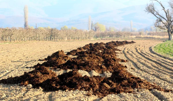 Fertilizante orgánico en un campo arado, preparándose para la siembra de primavera — Foto de Stock