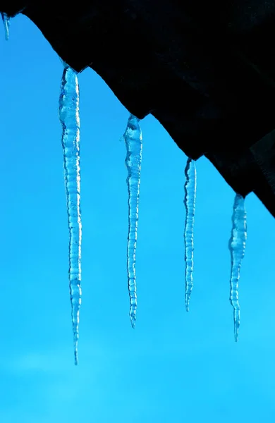 Beautiful icicles shine against blue sky — Stock Photo, Image