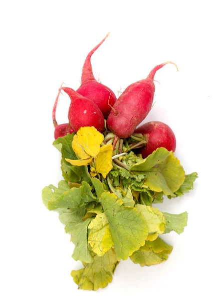 Verduras de primavera, fresco, rábano , — Foto de Stock