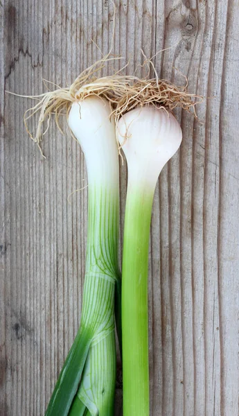 Verduras de primavera, frescas, ajo y cebolla — Foto de Stock