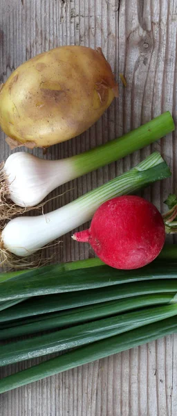 Весенние овощи, свежие, картофель, чеснок, лук и редис  , — стоковое фото