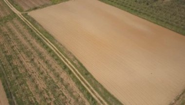 çiçek açması elma bahçesi