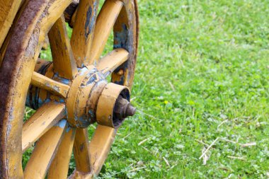 Sarı ahşap vagon tekerlekleri boyalı