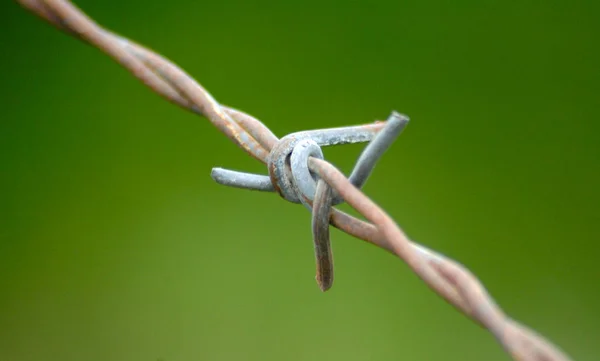 有刺鉄線のイメージ — ストック写真