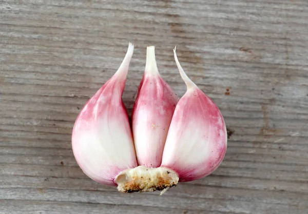 Dientes de ajo jóvenes plantados frescos — Foto de Stock