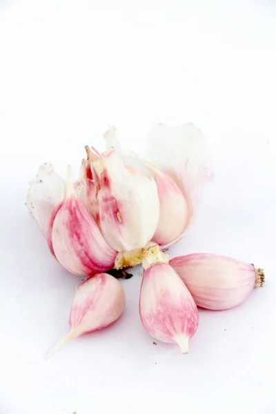 Dientes de ajo jóvenes plantados frescos — Foto de Stock