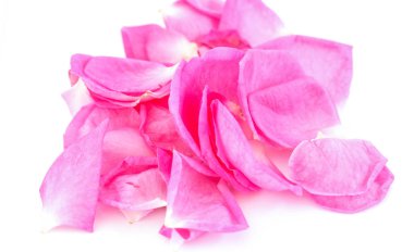 Beyaz arkaplanda gül yaprakları izole