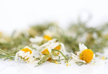 Beyaz arka plan üzerinde kuru papatya hebrs