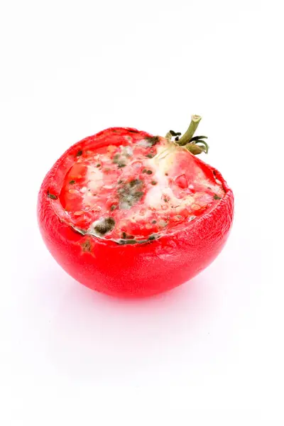 Rottening process of a half tomato — Stock Photo, Image