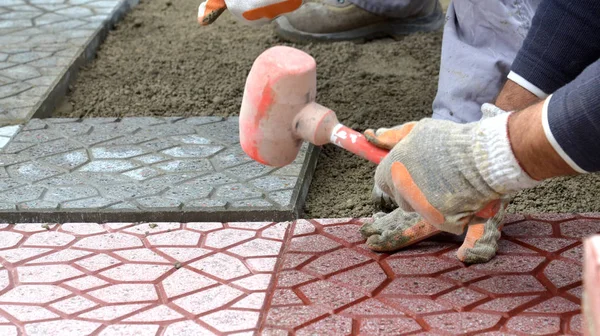 Mains d'un constructeur posant de nouvelles dalles en plaçant soigneusement une en position sur une base de sable nivelé et râpé — Photo