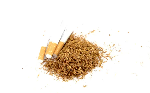 Cigarety a tabák, zblízka — Stock fotografie
