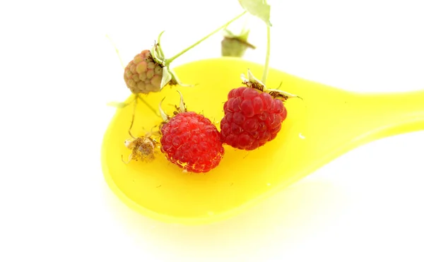 Reife Himbeeren in einem mit Wasser gefüllten Plastiklöffel — Stockfoto