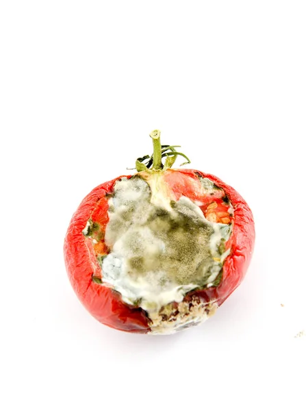 Rotten tomato isolated on white — Stock Photo, Image