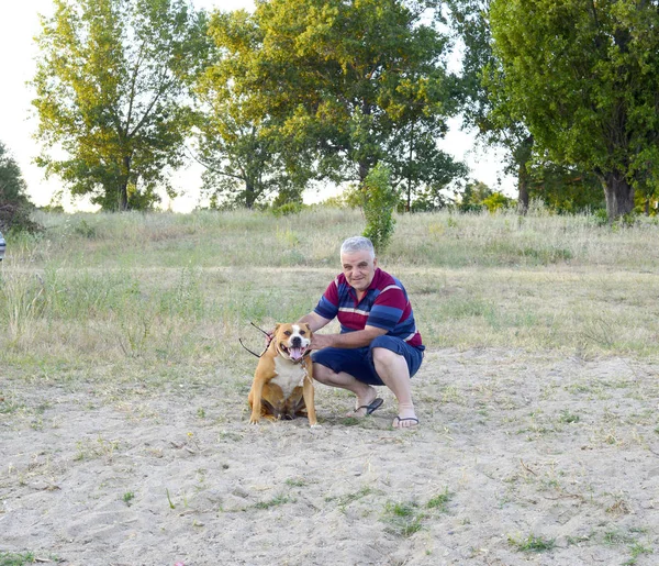 adam ile Amerikan staffordshire terrier köpek sahilde poz