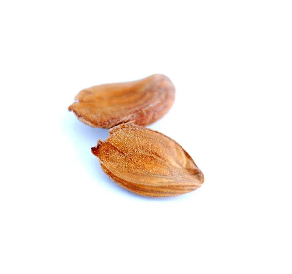 Peach fruit stone isolated on white — Stock Photo, Image