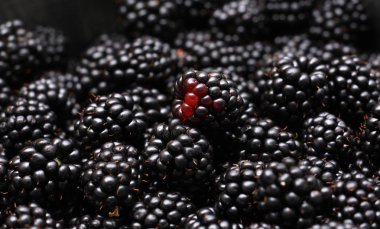 Sadece hasat taze organik ahududu arka plan closeup fotoğraf