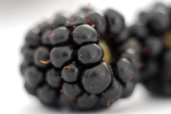 Reife Brombeeren Früchte, Studioaufnahme — Stockfoto