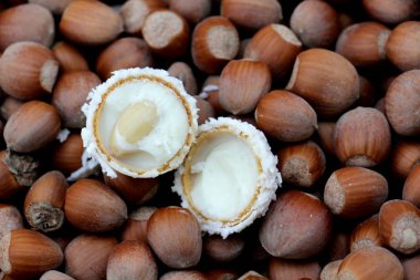 bir fındık üzerinde beyaz bonbon. Taze organik fındık