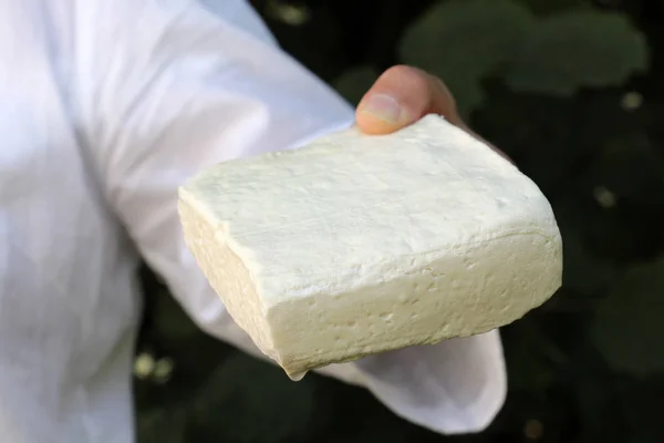 Femme avait tenu bloc de fromage de brebis — Photo