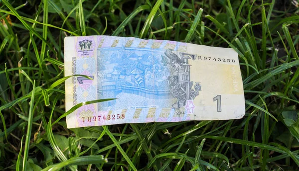 Bild einer ukrainischen Hrywnja-Banknote auf einem Grashintergrund — Stockfoto