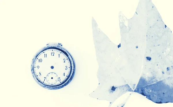 Outono leaaf ant vintage clock, conceito de estação — Fotografia de Stock