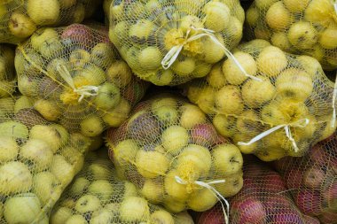 Olgun elma bir örgü çanta sanayi için