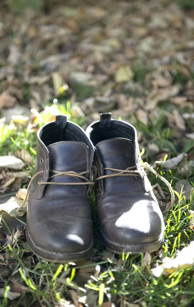 Hösten hane används skor utomhus-fotografering — Stockfoto