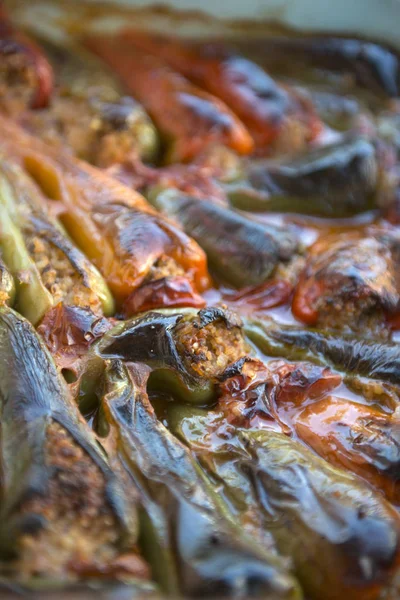 Comida tradicional turca Pimenta recheada com arroz e carne picada biber dolma — Fotografia de Stock