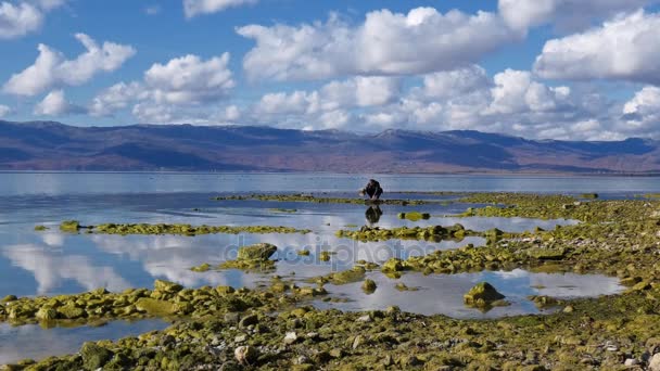 Lago prespa in macedonia — Video Stock