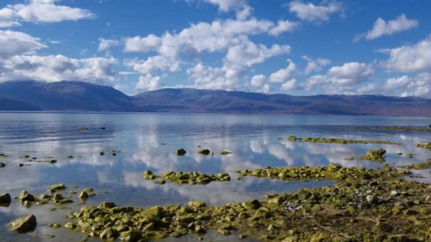 Lago prespa in macedonia — Video Stock