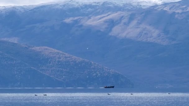 Lago prespa in macedonia — Video Stock