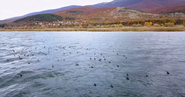 Преспа в Македонії в листопаді, drone фотографії — стокове фото