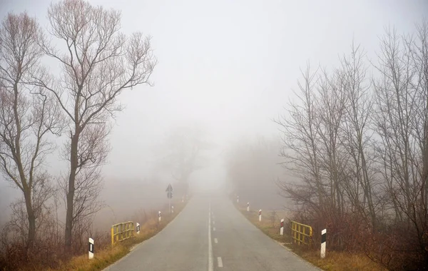Uma estrada de asfalto com nevoeiro no inverno — Fotografia de Stock