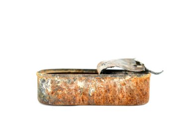 paslı boş balık konserve beyaz arka plan üzerinde
