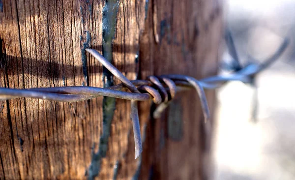 Rusty ve grunge dikenli tel kadar kapatın. — Stok fotoğraf