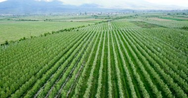 uçak fotoğraf, Resne, prespa, Makedonya bahçeleri havadan görünümü