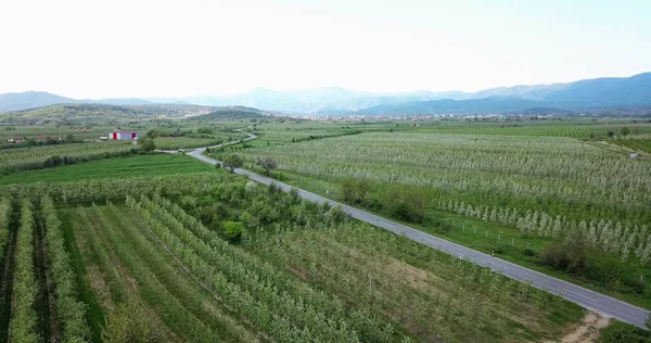Fotografía de drones, vista aérea de huertos en resen, prespa, macedonia — Foto de Stock