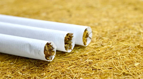 Tres cigarrillos en un molido seco de dobacco — Foto de Stock
