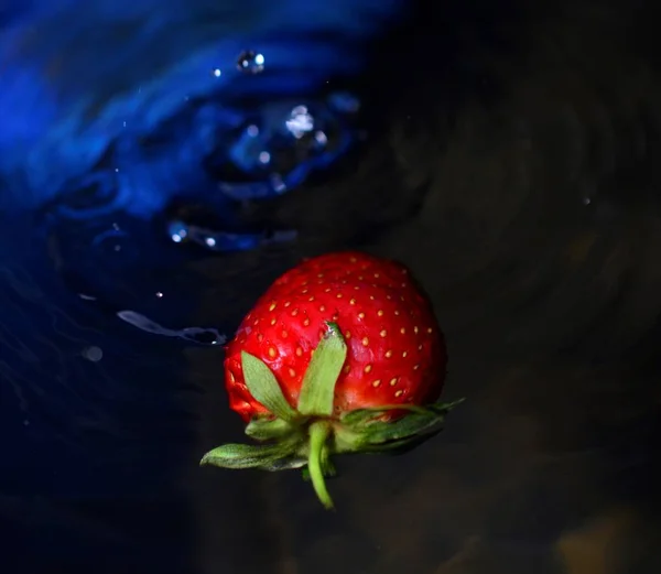 Φράουλα. Φρέσκα μούρα, — Φωτογραφία Αρχείου