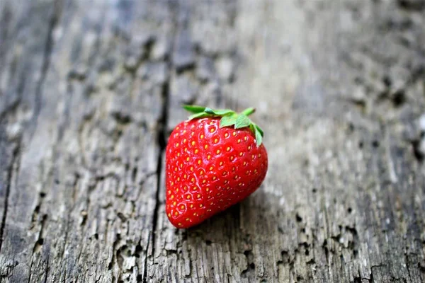 Aardbei. Verse bessen fruit, — Stockfoto