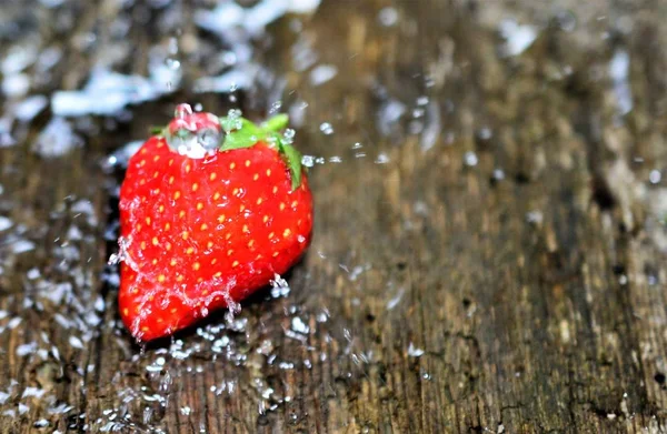 Aardbei. Verse bessen fruit, — Stockfoto