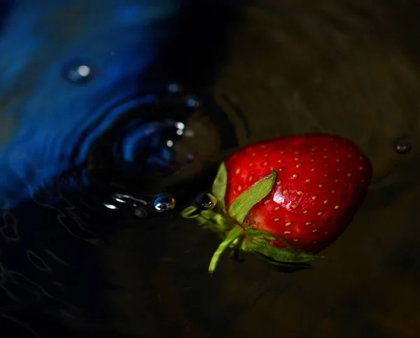 Φράουλα. Φρέσκα μούρα, — Φωτογραφία Αρχείου