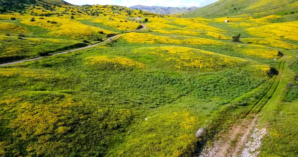 Park Narodowy Galicica Macedonii — Zdjęcie stockowe