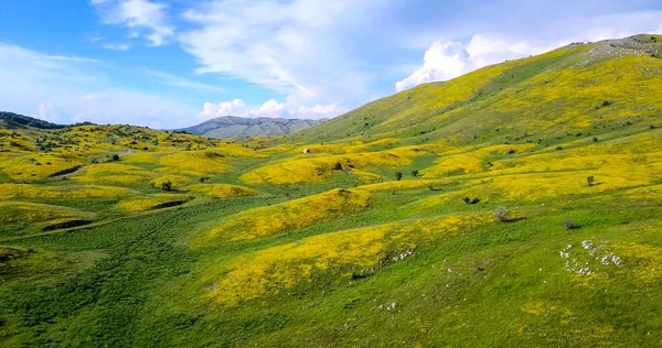 Національний Парк Галісіка Македонії — стокове фото